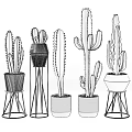 Modern Cactus Potted Plants With Decorative Pots And Metal Stands