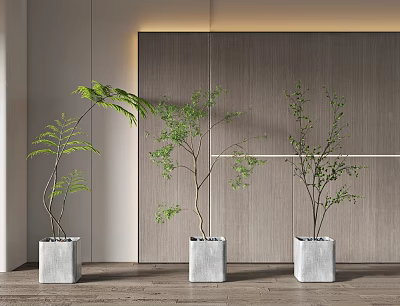 modern potted plant green plant potted plant 3d model