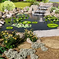Tranquil Garden Landscape With Pond Water Lily Pads Small Waterfall Rocks And Flowers