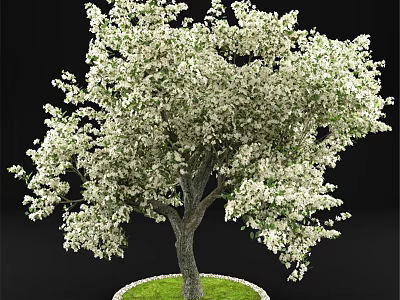 Ornamental Tree Decoration Set With White Flowers And Green Grass Base For Home Decor 3d model