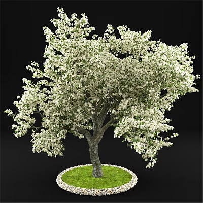 Ornamental Tree Decoration Set With White Flowers And Green Grass Base For Home Decor 3d model