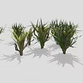 Green Leafy Plant Clusters With White Daisy Flower In Center