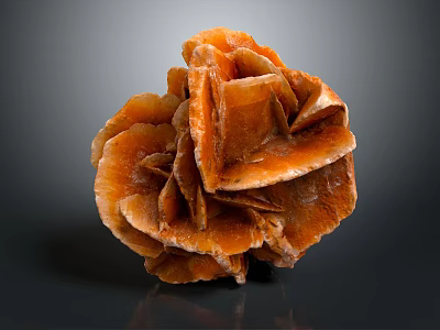 Wood Stone With Orange Red Flower Shaped Layered Structure And Glossy Texture 3d model
