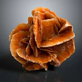 Wood Stone With Orange Red Flower Shaped Layered Structure And Glossy Texture