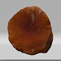 Fresh Organic Orange Red Round Edible Mushroom With Natural Healthy Texture