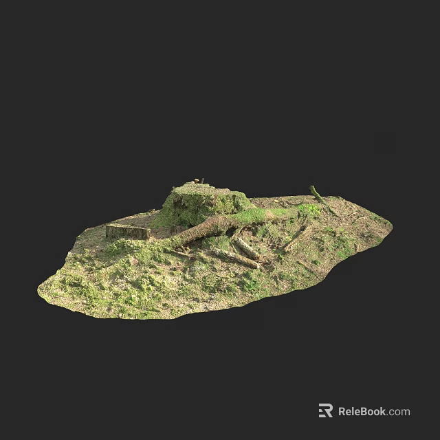 Natural Garden Landscape With Green Moss Covered Soil And Small Hill 3d model 