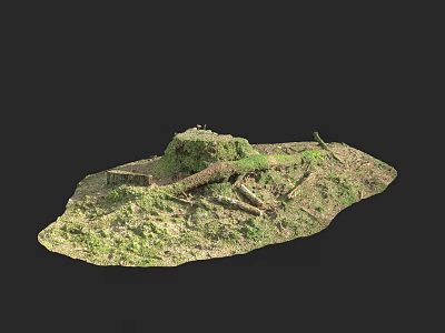 Natural Garden Landscape With Green Moss Covered Soil And Small Hill 3d model