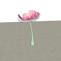 Blooming Pink Flower in Green Vase on Light Colored Tiled Floor with Shadow