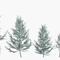 Evergreen Arbor Trees In Various Sizes Arranged With Human Figure For Scale 3d model