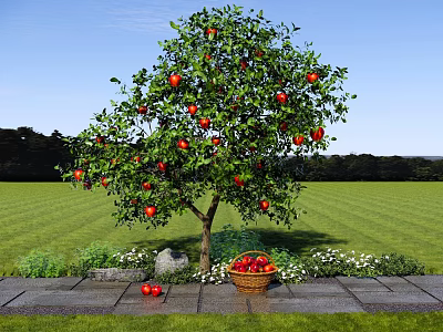 Apple Tree With Red Apples In Green Grassland And Basket Of Fruits 3d model