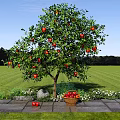Apple Tree With Red Apples In Green Grassland And Basket Of Fruits