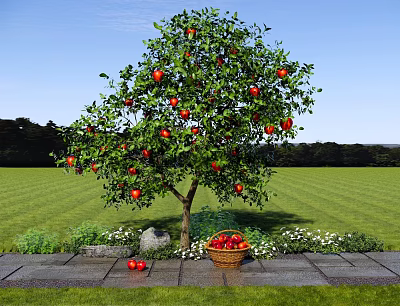Apple Tree With Red Apples In Green Grassland And Basket Of Fruits 3d model
