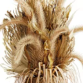Natural Dried Floral Arrangement in Rustic Woven Vase Decorative Home