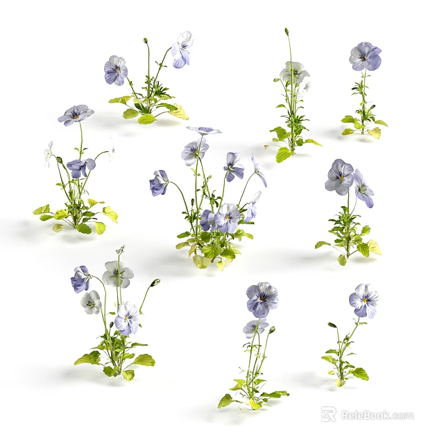 Beautiful Purple and White Pansies with Fresh Green Leaves in Natural Garden 3d model 