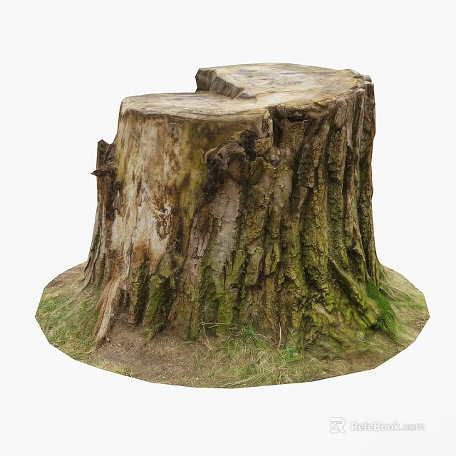 Natural Garden Decor Using Tree Stump With Rough Bark And Green Grass Around Base 3d model