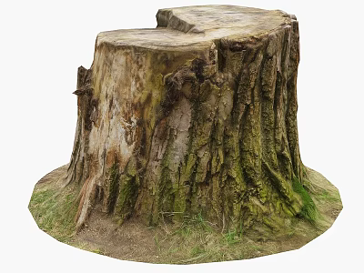 Natural Garden Decor Using Tree Stump With Rough Bark And Green Grass Around Base 3d model