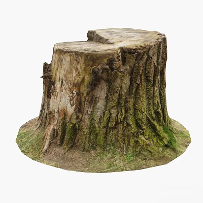 Natural Garden Decor Using Tree Stump With Rough Bark And Green Grass Around Base 3d model