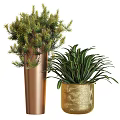 Lush Green Bonsai Potted Plants in Copper Vase and Gold Textured Pot