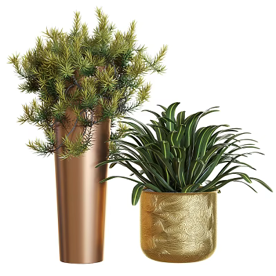 Lush Green Bonsai Potted Plants in Copper Vase and Gold Textured Pot 3d model