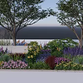 Vibrant Flowers And Various Plants In Seaside Garden With Tall Trees And Ocean View