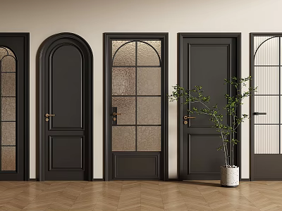 Black Hinged Doors With Glass Panels And Different Designs In Interior Space 3d model