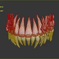 3D Rendered Sharp Teeth Organ Model With Curved Arrangement And Reflective Surface