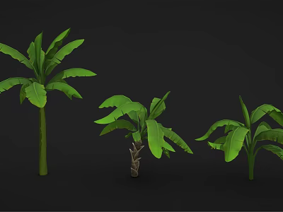 Cartoon Scene Featuring Banana Trees in Various Sizes with Green Leaves on Black Background 3d model