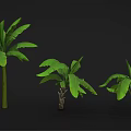Cartoon Scene Featuring Banana Trees in Various Sizes with Green Leaves on Black Background