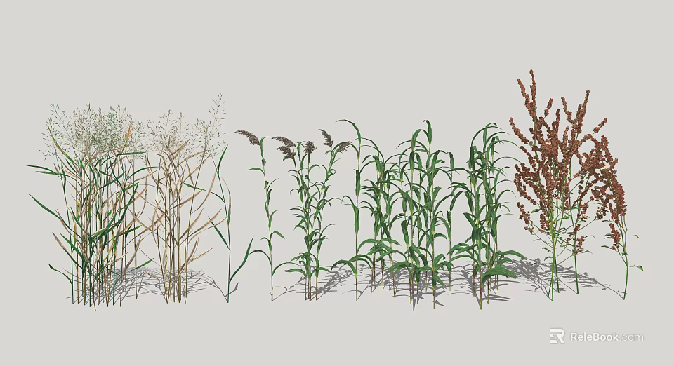 Diverse Herbaceous Plants with Different Heights Green Brown Red Colors Arranged Together 3d model 