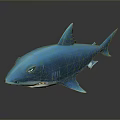 Blue Shark 3D Rendered Model With Sharp Teeth And Fins Against Black Background