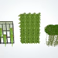 Modern Vine Vertical Greening 3d model