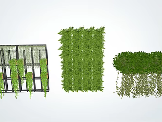 Modern Vine Vertical Greening 3d model