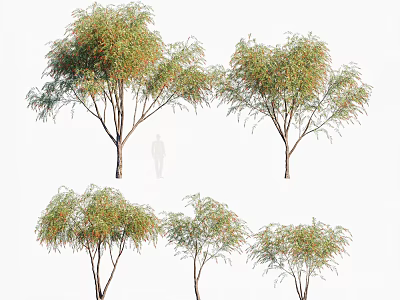 Multiple Arbor Trees With Lush Green Foliage And Natural Canopies 3d model