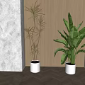 Green Leafy Bonsai Potted Plants In White Planters With Wooden Wall Background