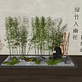 Green Bamboo in Serene Garden Path with Stone Moss and Hanging Vines