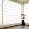 White Roman Blinds In Modern Bright Room With Potted Plant On Black Stand