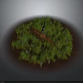 Natural Scene With Circular Area Green Grass Brown Wood And Red Soil