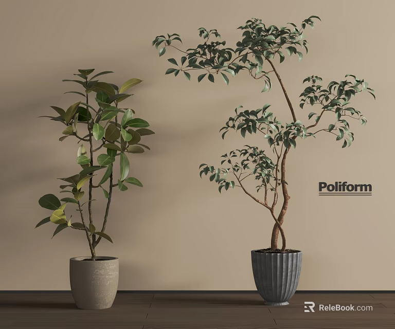 Bonsai Potted Plants With Green Foliage In Textured Pots On Indoor Wooden Surface 3d model 