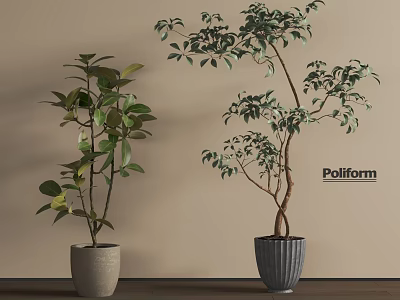 Bonsai Potted Plants With Green Foliage In Textured Pots On Indoor Wooden Surface 3d model