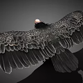 Majestic Flying Vulture with Spread Wings Black Feathers White Wingtips and Orange Head