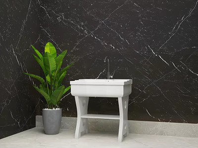 Stylish White Washbasin with Black Marble Wall and Green Plant in Bathroom 3d model