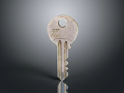 Classic Design Metal House Key For Daily Home Security And Unlocking Doors 3d model