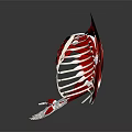 3D Rendered Human Arm Muscle Anatomy with Muscles Bones Grey Background and Reflection