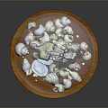 Glass Dome Decorative Display With Brass Deer Figurine Wooden Base And Seashells