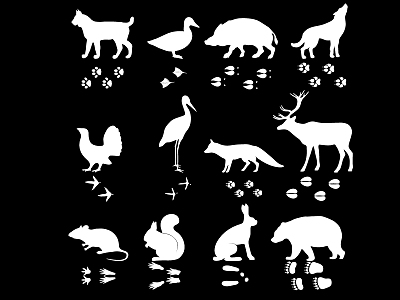 animal footprints cat dog bird poultry paw black and white silhouette model