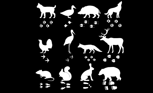 animal footprints cat dog bird poultry paw black and white silhouette 3d model