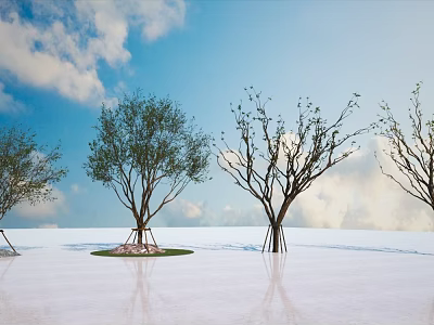 Tall Arbor Trees In Open Space With Blue Sky White Clouds And Reflective Ground 3d model