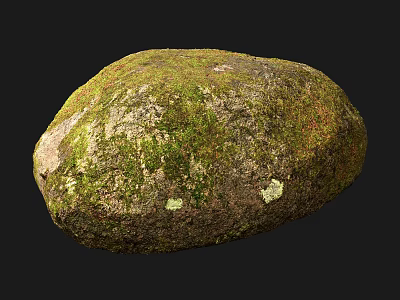 Mossy Stone And Natural Wooden Elements In Rustic Decorative Setting 3d model