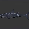 Blue And White Patterned Shark With Curved Lines Swimming In Deep Sea Water