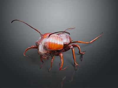 Detailed View Of Reddish Brown Cockroach With Long Antennae And Legs On Dark Background 3d model